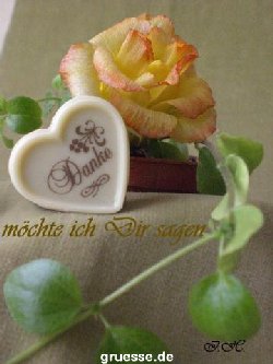 grusskarte-Traumschiff-Danke_001