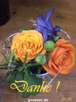 grusskarte-Traumschiff-Danke_002