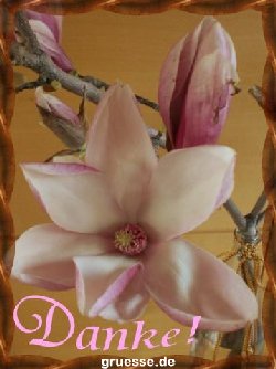 grusskarte-Traumschiff-Danke_004