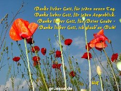 grusskarte-Traumschiff-Danke_012