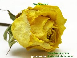 grusskarte-Traumschiff-Danke_014