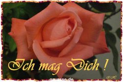 grusskarte-Traumschiff-Freundschaft_002