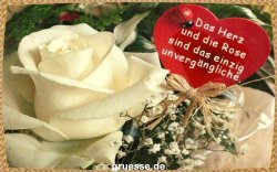 grusskarte-Traumschiff-Freundschaft_009