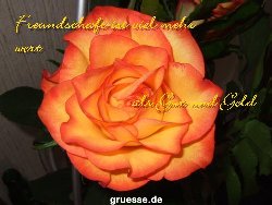 grusskarte-Traumschiff-Freundschaft_014