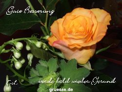 grusskarte-Traumschiff-Gute-Besserung_003