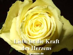 grusskarte-Traumschiff-Netter_Spruch_006