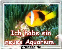 grusskarte-diverses-bekanntmachungen_001