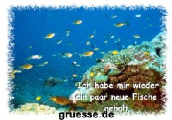 grusskarte-diverses-bekanntmachungen_002