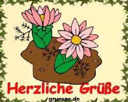 grusskarte-diverses-blumen_018