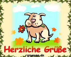 grusskarte-diverses-blumen_019