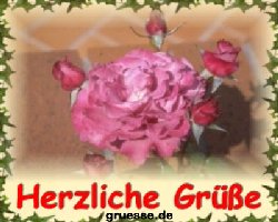 grusskarte-diverses-blumen_023