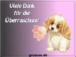 grusskarte-diverses-danke_018