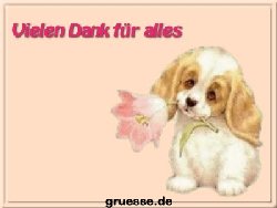 grusskarte-diverses-danke_031