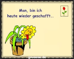 grusskarte-diverses-spassiges_002