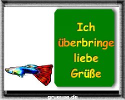 grusskarte-diverses-tiere_020