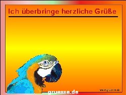grusskarte-diverses-tiere_034