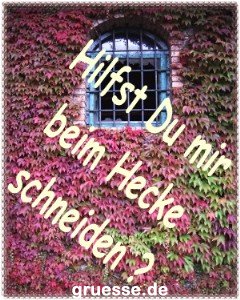 grusskarte-einladungen-diverses_007