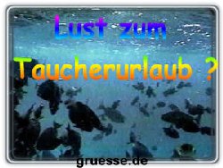 grusskarte-einladungen-reisen_005