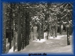 grusskarte-festtage-weihnachten-fotos-k_011