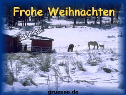grusskarte-festtage-weihnachten-fotos_010