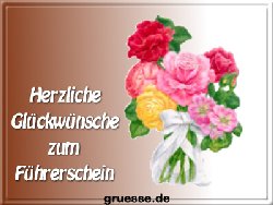 grusskarte-glueckwuensche-fuehrerschein_002