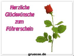 grusskarte-glueckwuensche-fuehrerschein_004