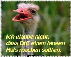 grusskarte-witz-witz3_012