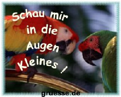 grusskarte-witz-witz4_012