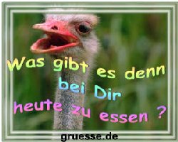 grusskarte-witz-witz4_013