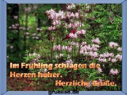 grusskarte-zeiten-fruehling_006