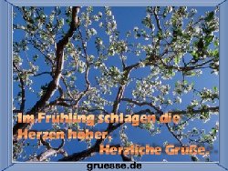 grusskarte-zeiten-fruehling_007