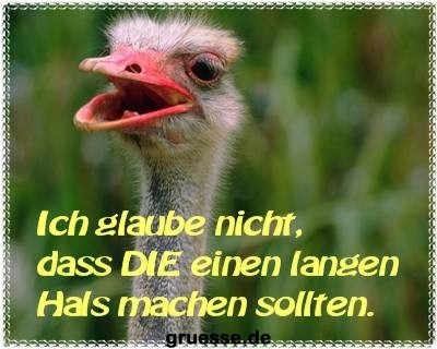 grusskarte-witz-witz3_012