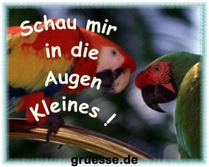 grusskarte-witz-witz4_012