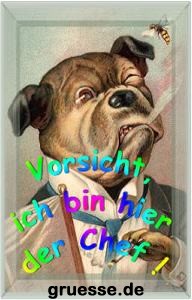 grusskarte-witz-witz4_016