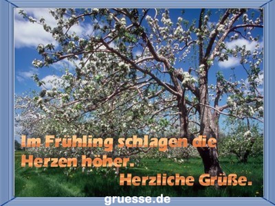 grusskarte-zeiten-fruehling_004