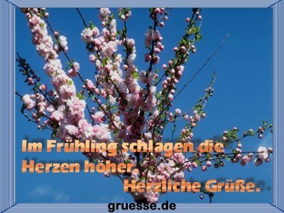 grusskarte-zeiten-fruehling_005