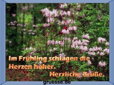 grusskarte-zeiten-fruehling_006