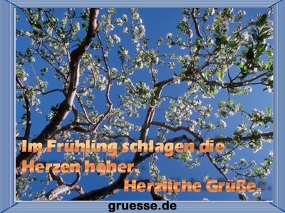 grusskarte-zeiten-fruehling_007