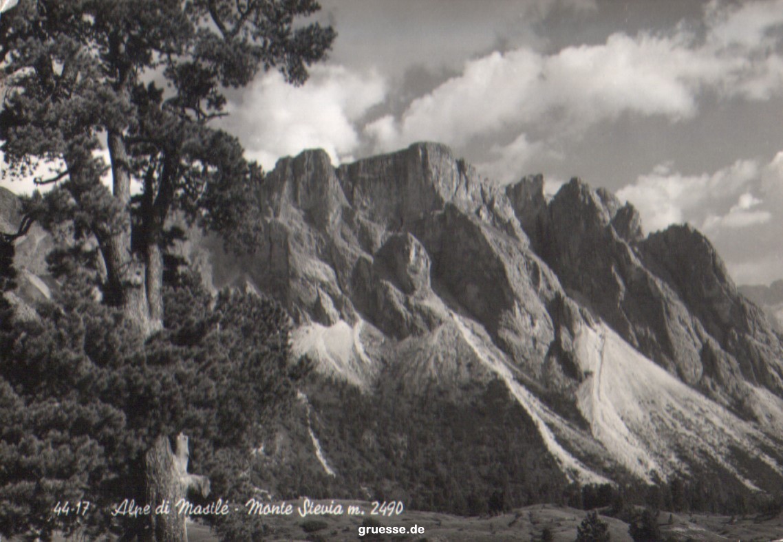 monte_stevia_1964