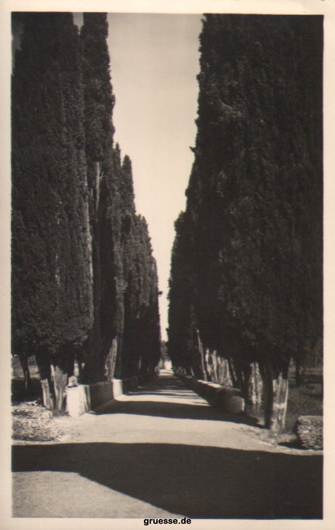 tivoli_1937