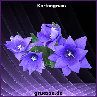 grusskarte-ohne-text-blumen_006