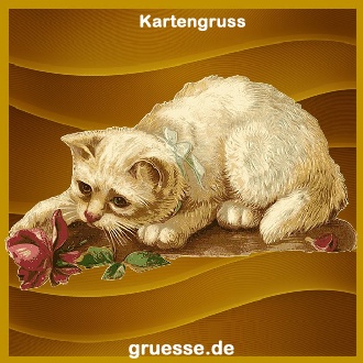 grusskarte-ohne-text-blumen_011