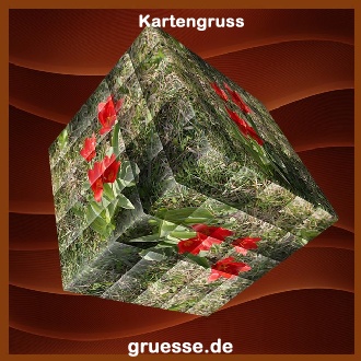 grusskarte-ohne-text-blumen_014