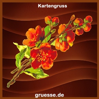 grusskarte-ohne-text-blumen_021