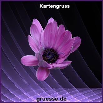 grusskarte-ohne-text-blumen_022