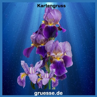 grusskarte-ohne-text-blumen_025