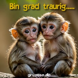 grusskarte-quadratisch-diverses_001