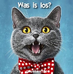 grusskarte-quadratisch-diverses_007