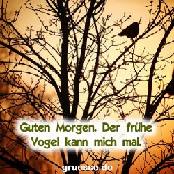 grusskarte-quadratisch-guten-morgen_003