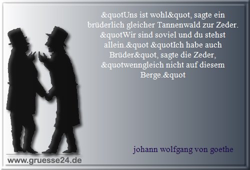 gemeinsamkeit-033
